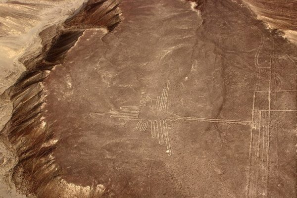 Colibrí Lineas de Nazca