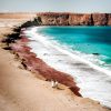 Reserva Nacional de Paracas
